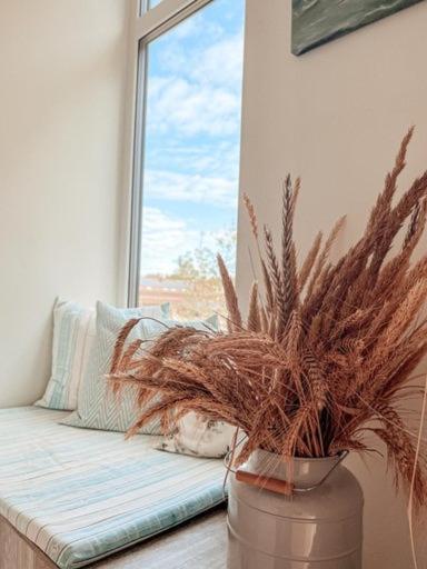 Zalia Kopa Apartments พาลังกา ภายนอก รูปภาพ